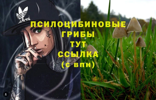 дурь Туринск