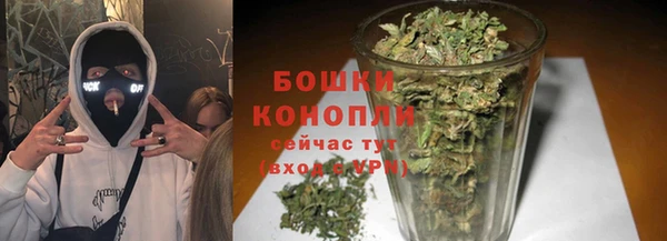дурь Тутаев