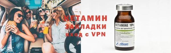 дурь Туринск
