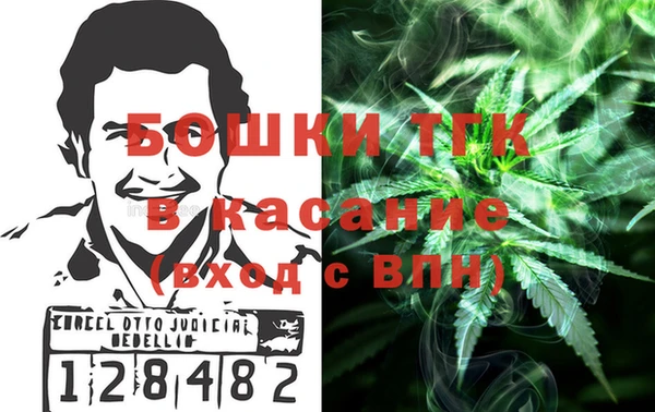 дурь Туринск