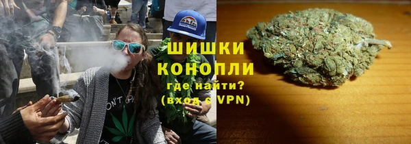 дурь Тутаев