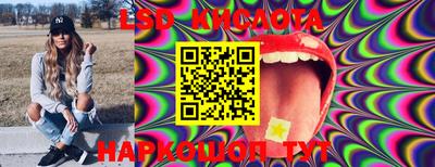 гашик Берёзовский