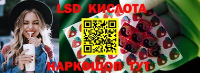 гашик Берёзовский