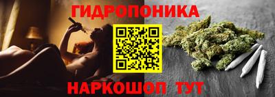 крисы Волжский