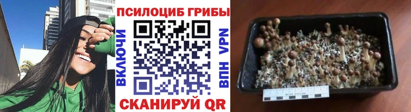 Галлюциногенные грибы Magic Shrooms  Иваново 