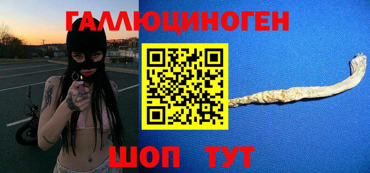 Псилоцибиновые грибы Psilocybe  Иваново 