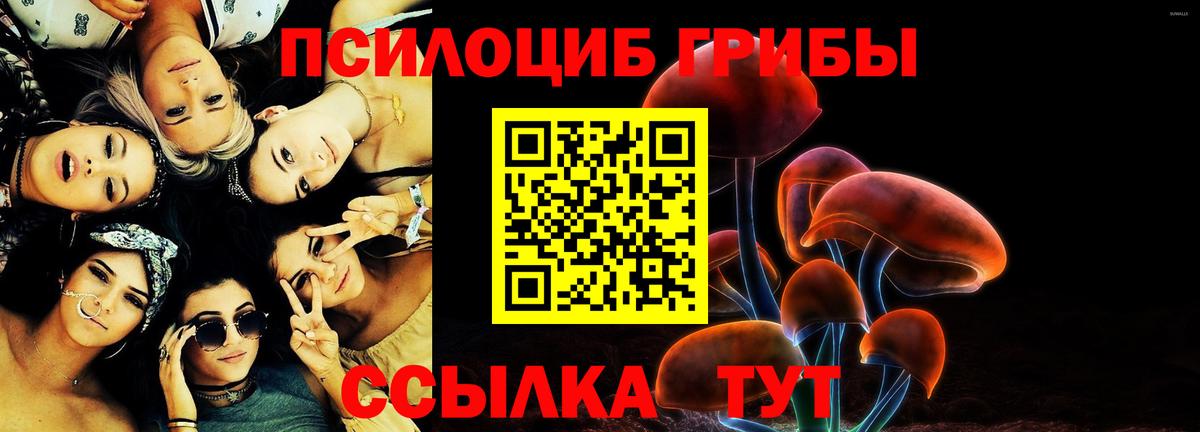 Галлюциногенные грибы GOLDEN TEACHER Иваново
